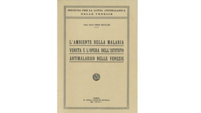 ambiente malaria
